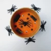 Spidy Orange